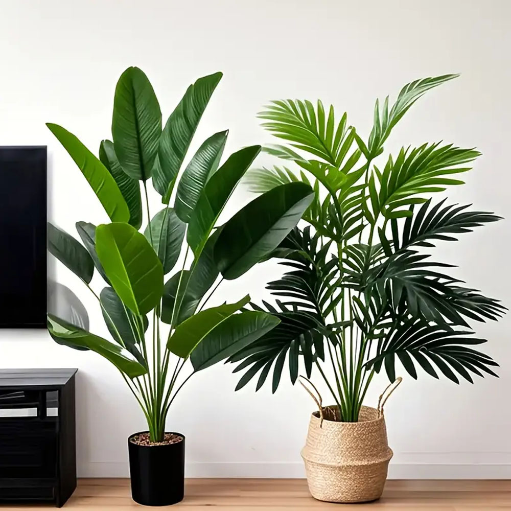 Dracaena Marginata - 2pcs 82cm Large Scale Simulation Artificial