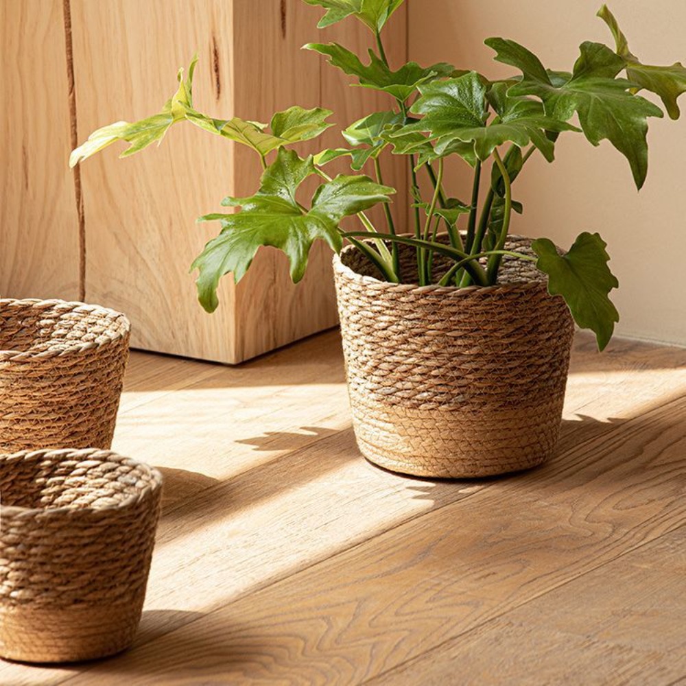 Aloe Vera Pot - Straw Weaving Flower Plant Pot Wicker