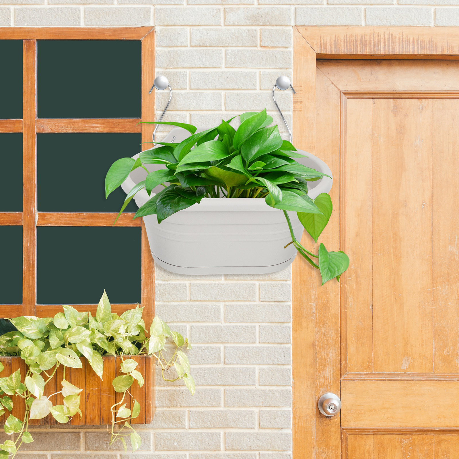 1Set Wall Hanging Flower Pot S - Spider Plant Hanging review and price