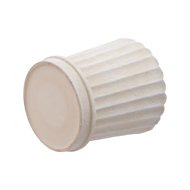 8 Inch Shell Planter Cream Cer - Aloe Vera Pot review and price