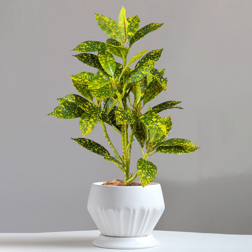 24-41cm Artificial Ficus Tree  - Ficus Lyrata Tree review and price