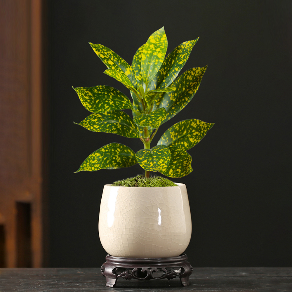 24-41cm Artificial Ficus Tree  - Ficus Lyrata Tree review and price