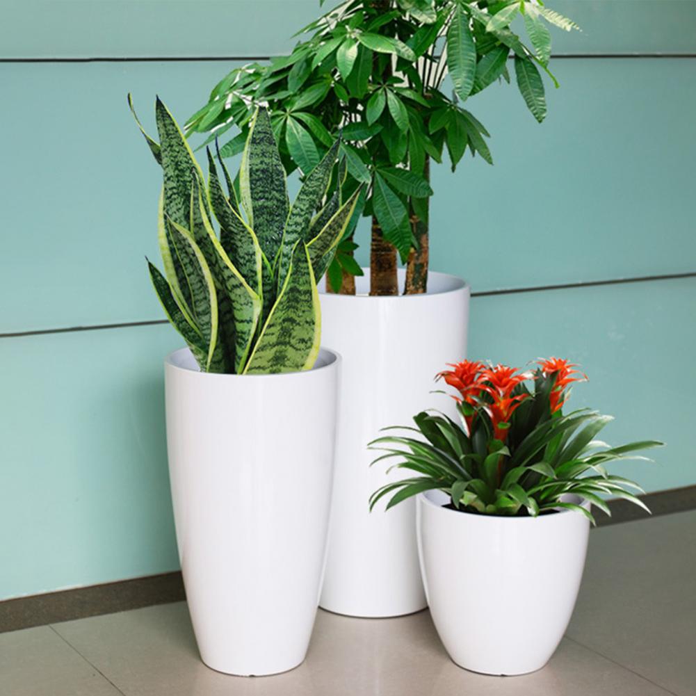 28cm Height Deep Flower Pot Im - Aloe Vera Pot review and price