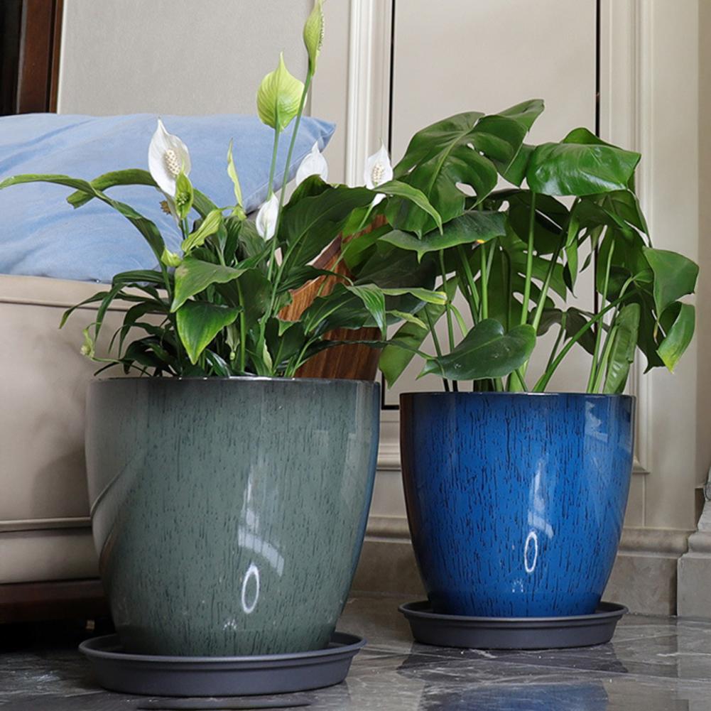 28cm Height Deep Flower Pot Im - Aloe Vera Pot review and price