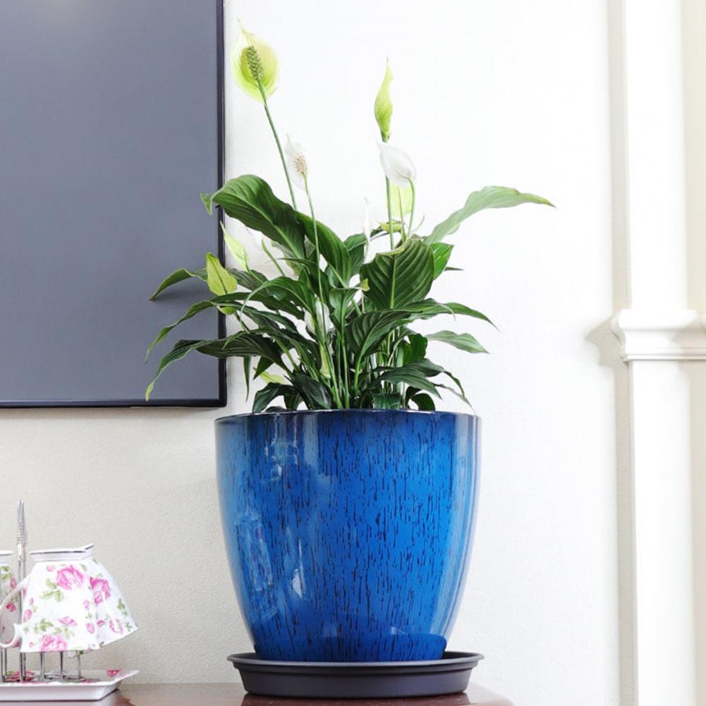 28cm Height Deep Flower Pot Im - Aloe Vera Pot review and price