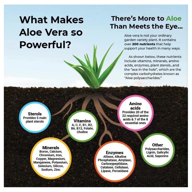 Aloe Vera Capsules - Help Prom - Aloe Vera Pot review and price