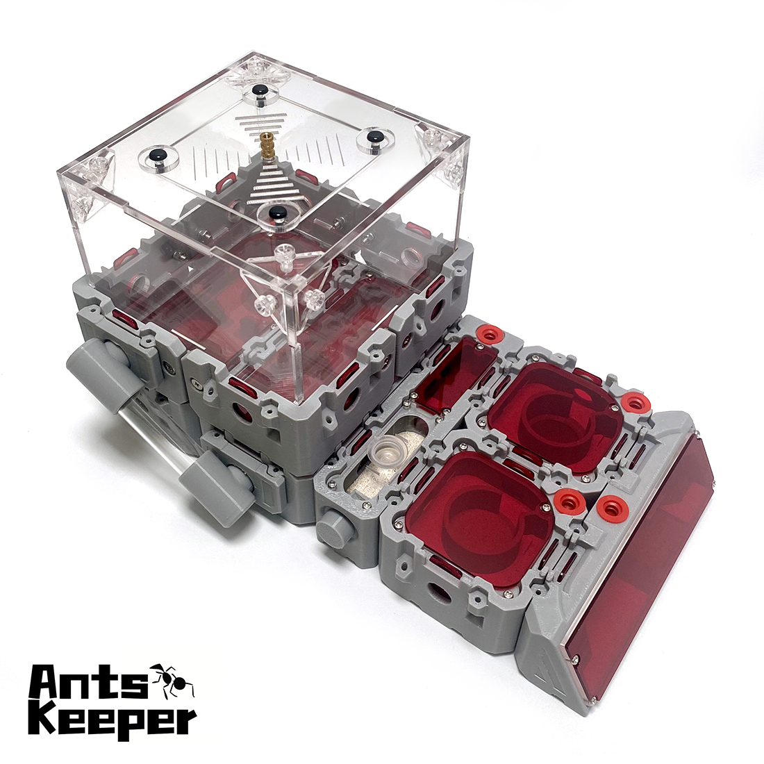 【Lego】Expandable Modular Formi - Begonia Rex review and price