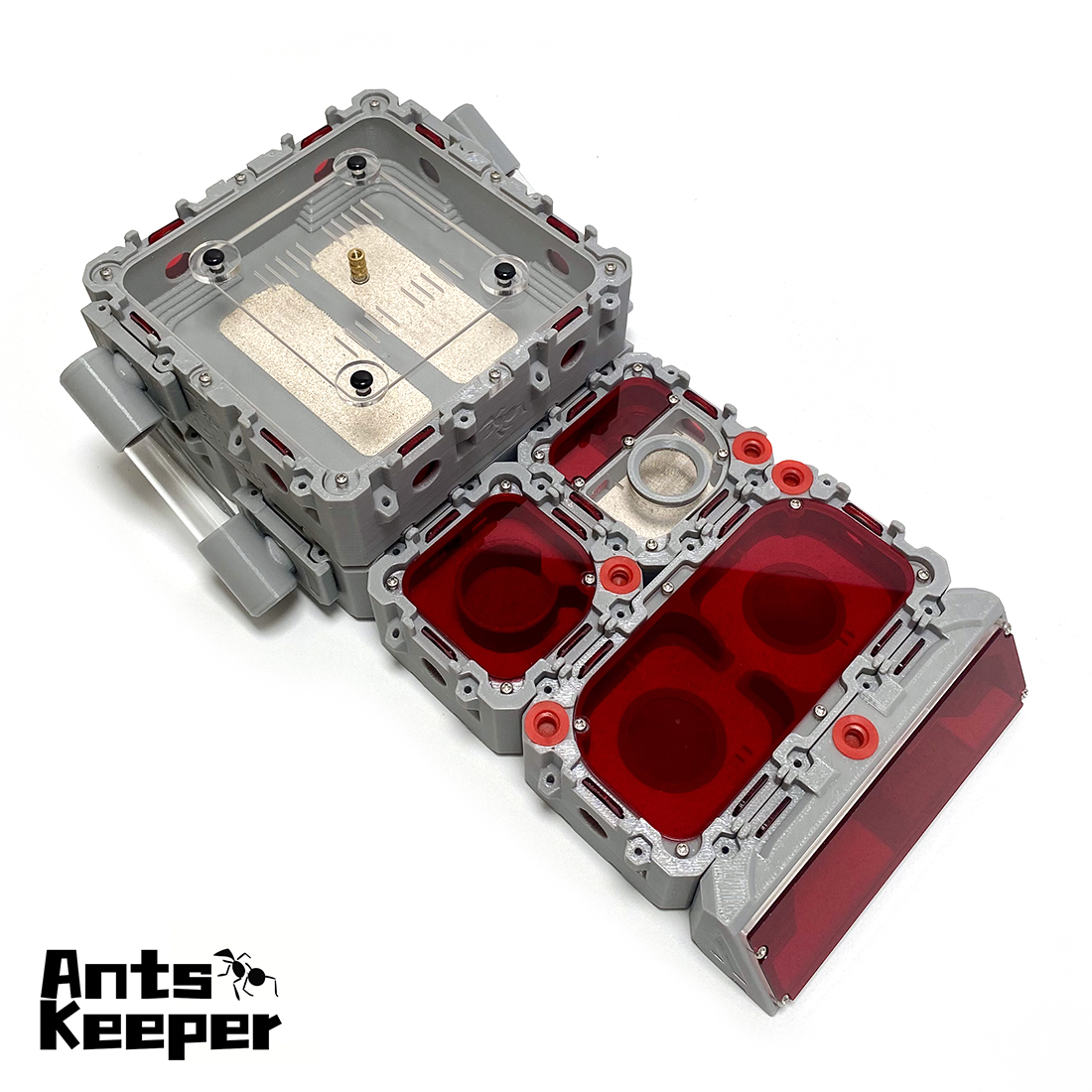 【Lego】Expandable Modular Formi - Begonia Rex review and price
