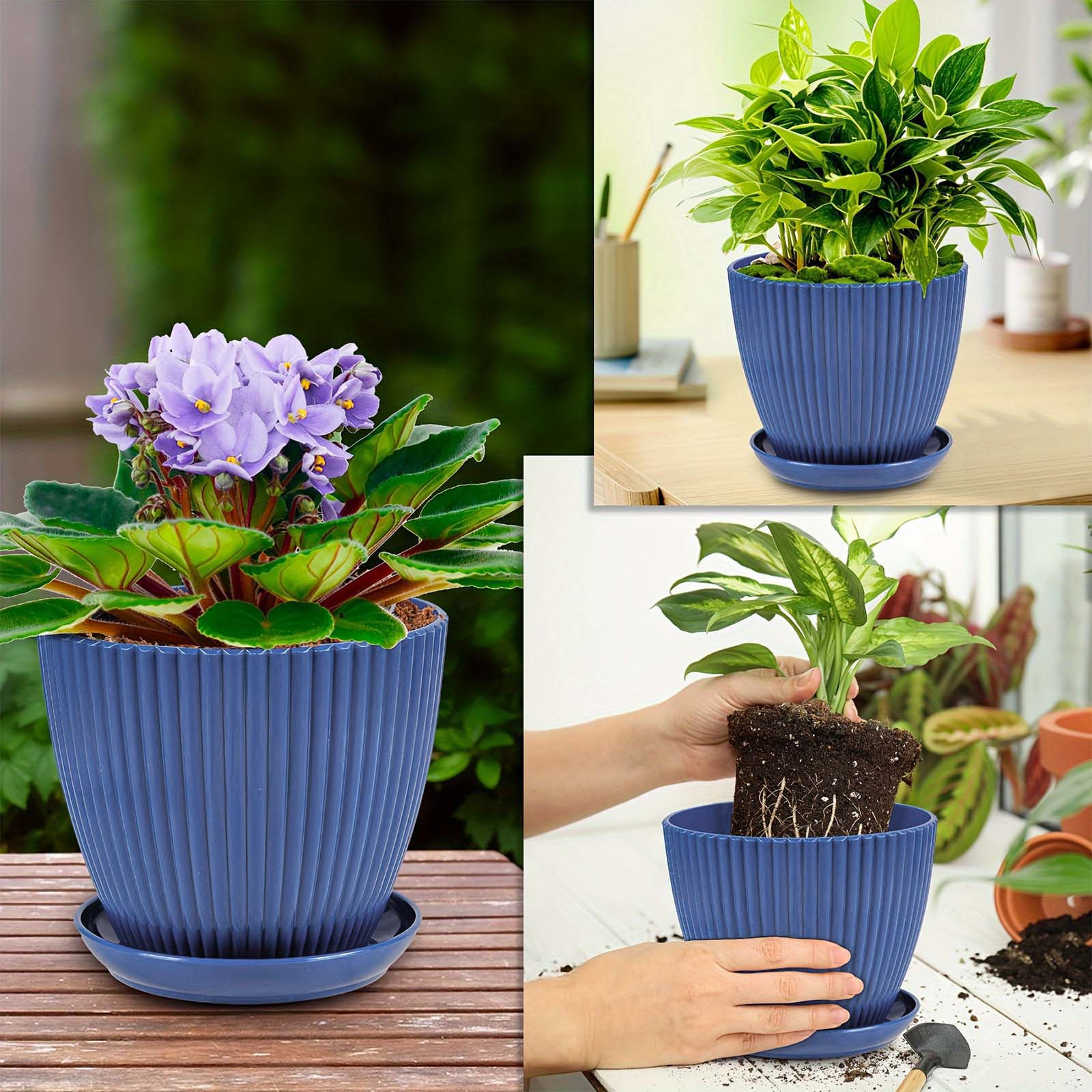 Vertical Striped Thickened Pla - Aloe Vera Pot review and price