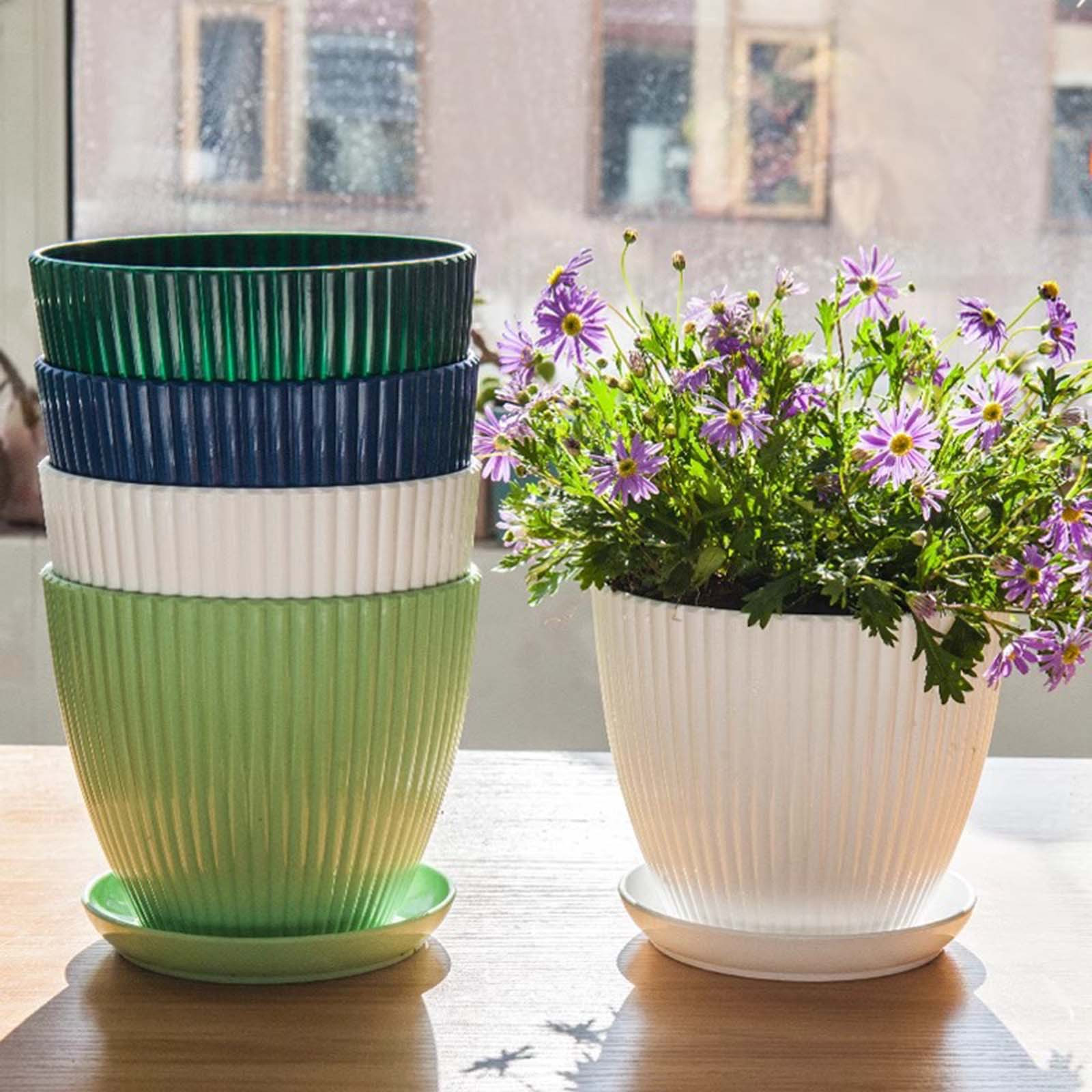 Vertical Striped Thickened Pla - Aloe Vera Pot review and price