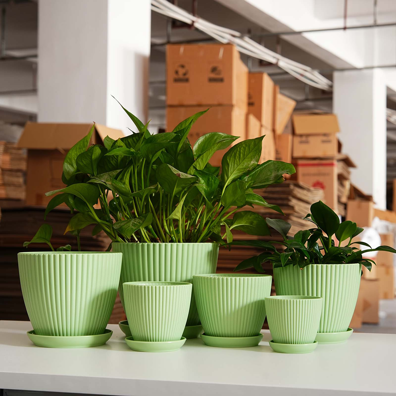 Vertical Striped Thickened Pla - Aloe Vera Pot review and price