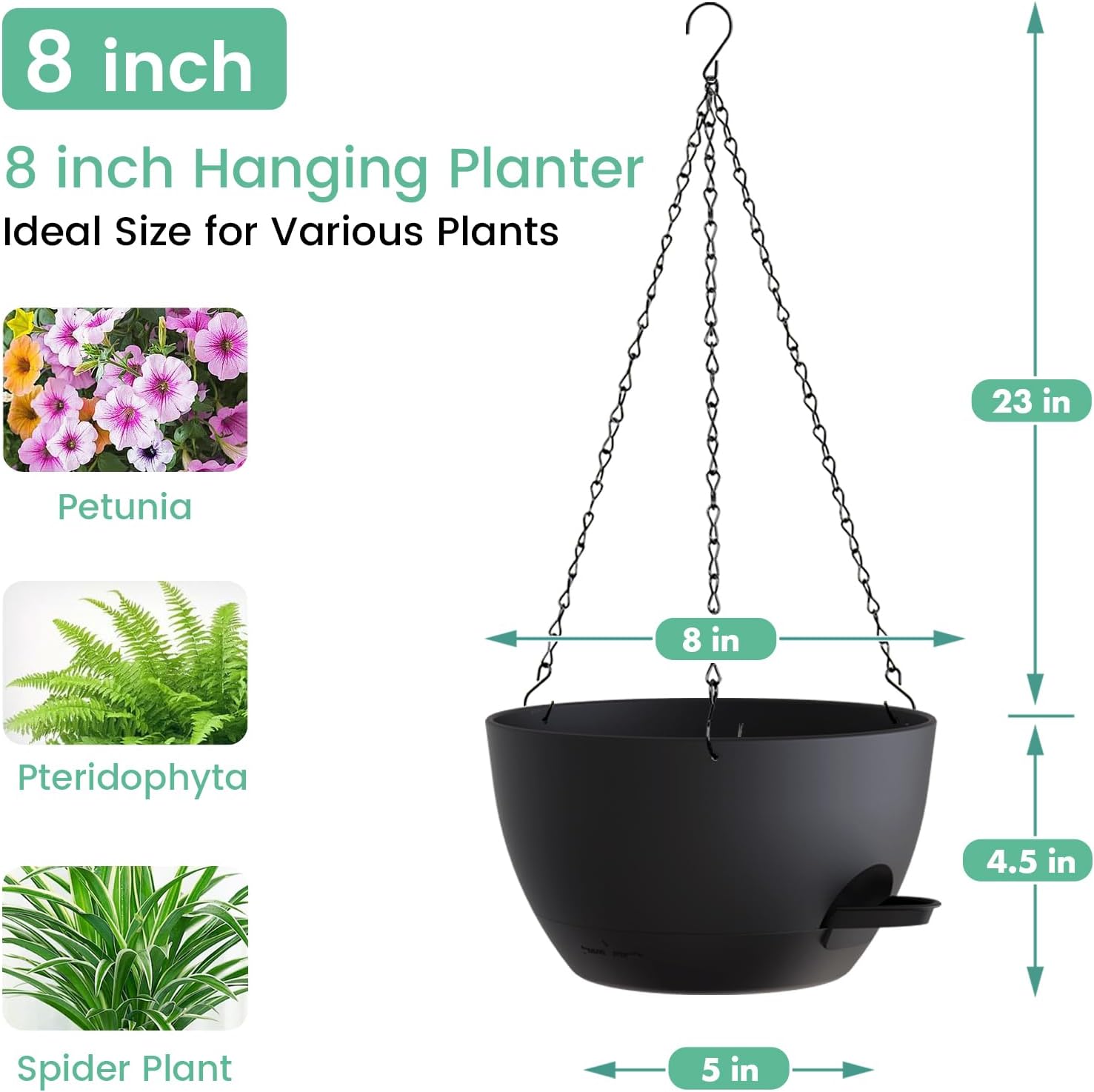 8 Inch Self Watering Hanging P - Spider Plant Hanging review and price