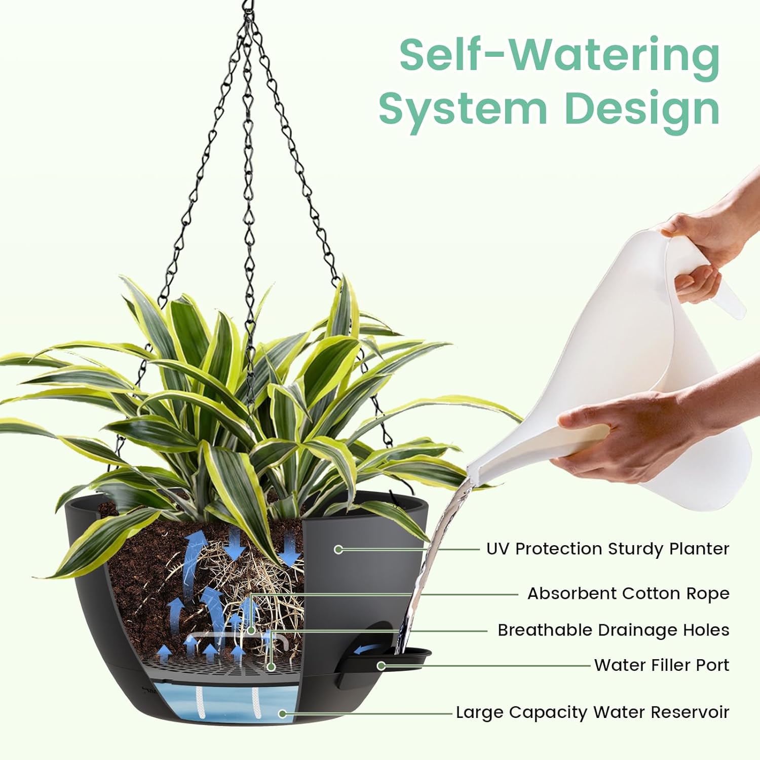 8 Inch Self Watering Hanging P - Spider Plant Hanging review and price