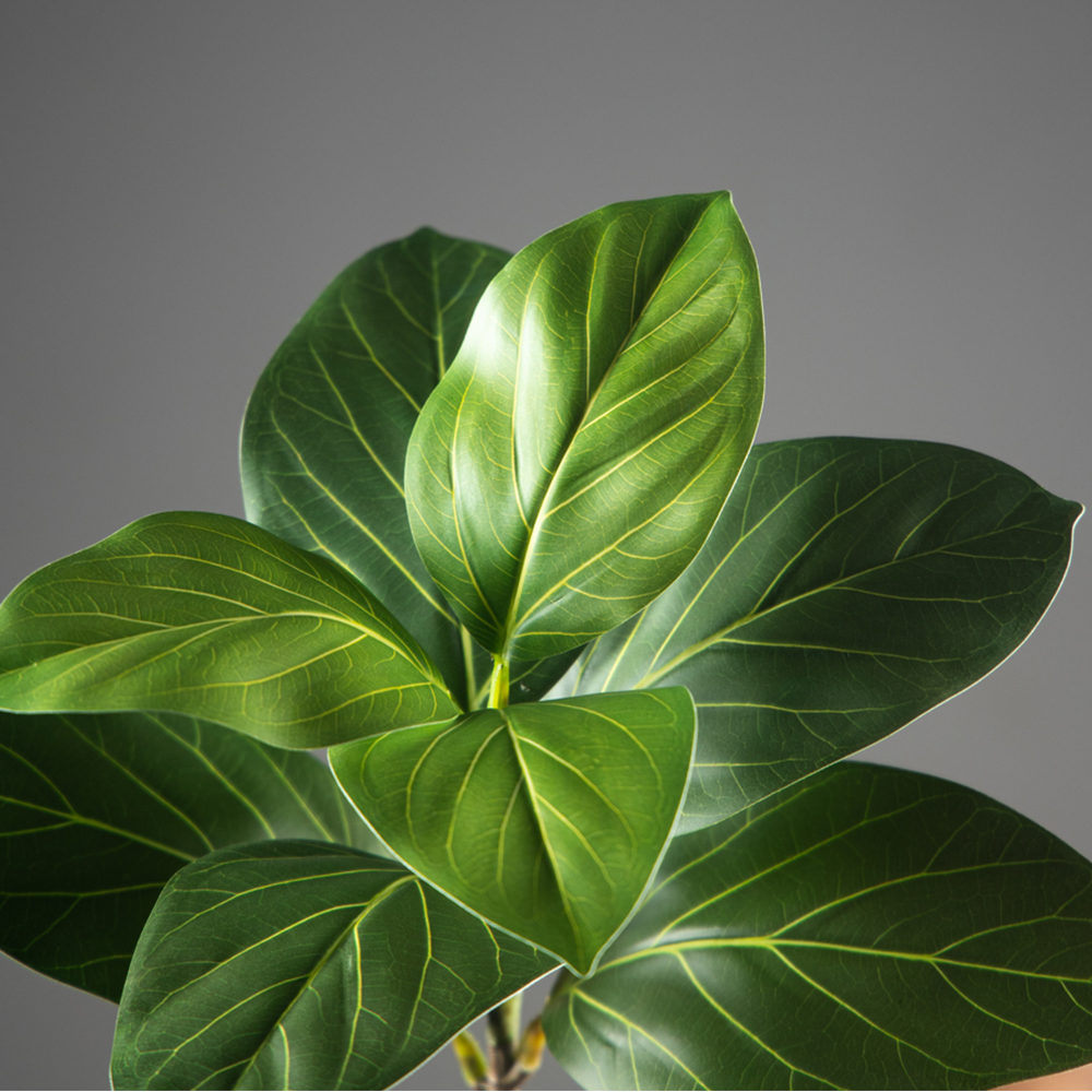70-130cm Large Artificial Bany - Ficus Lyrata Tree review and price