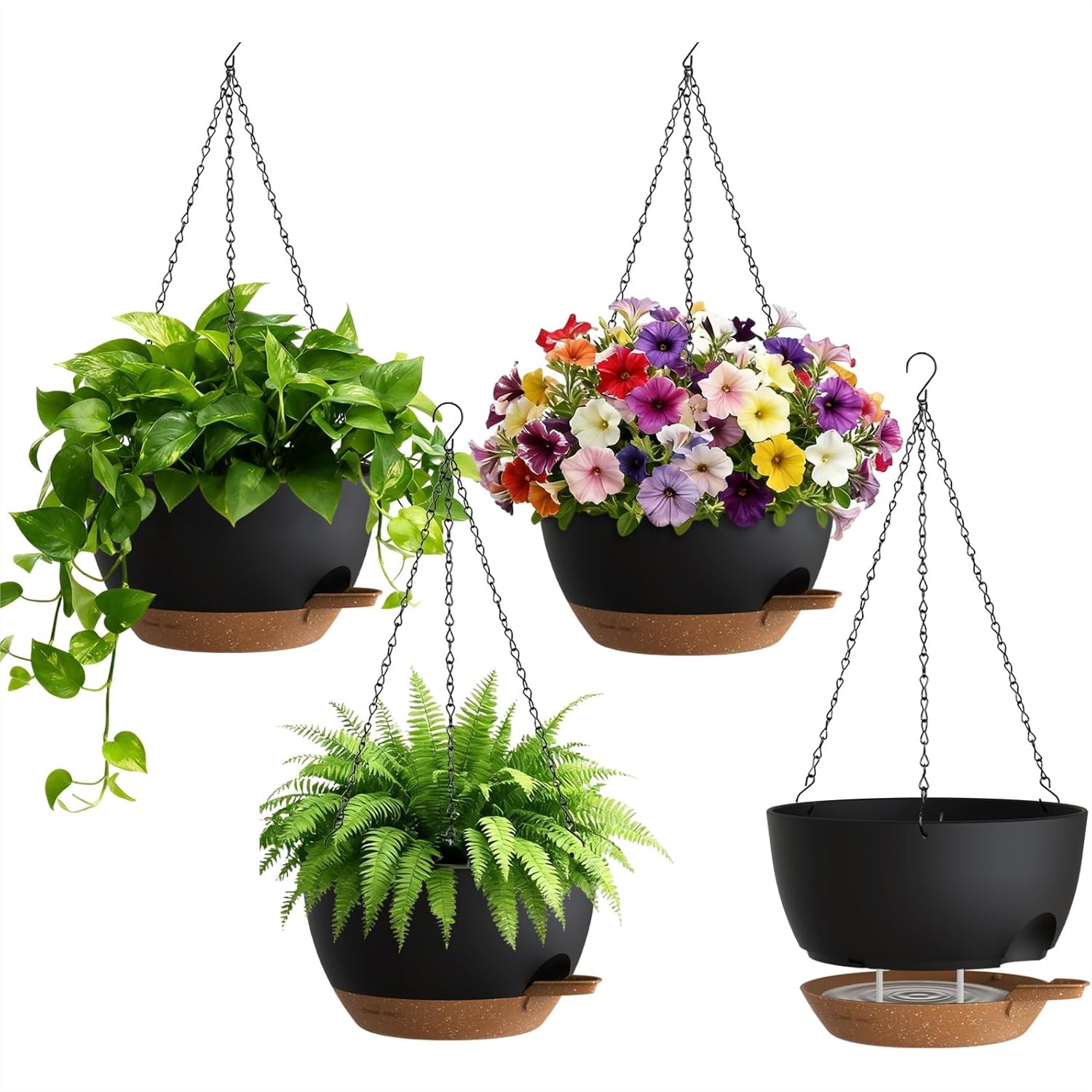 Self Watering Hanging Planters - Spider Plant Hanging review and price