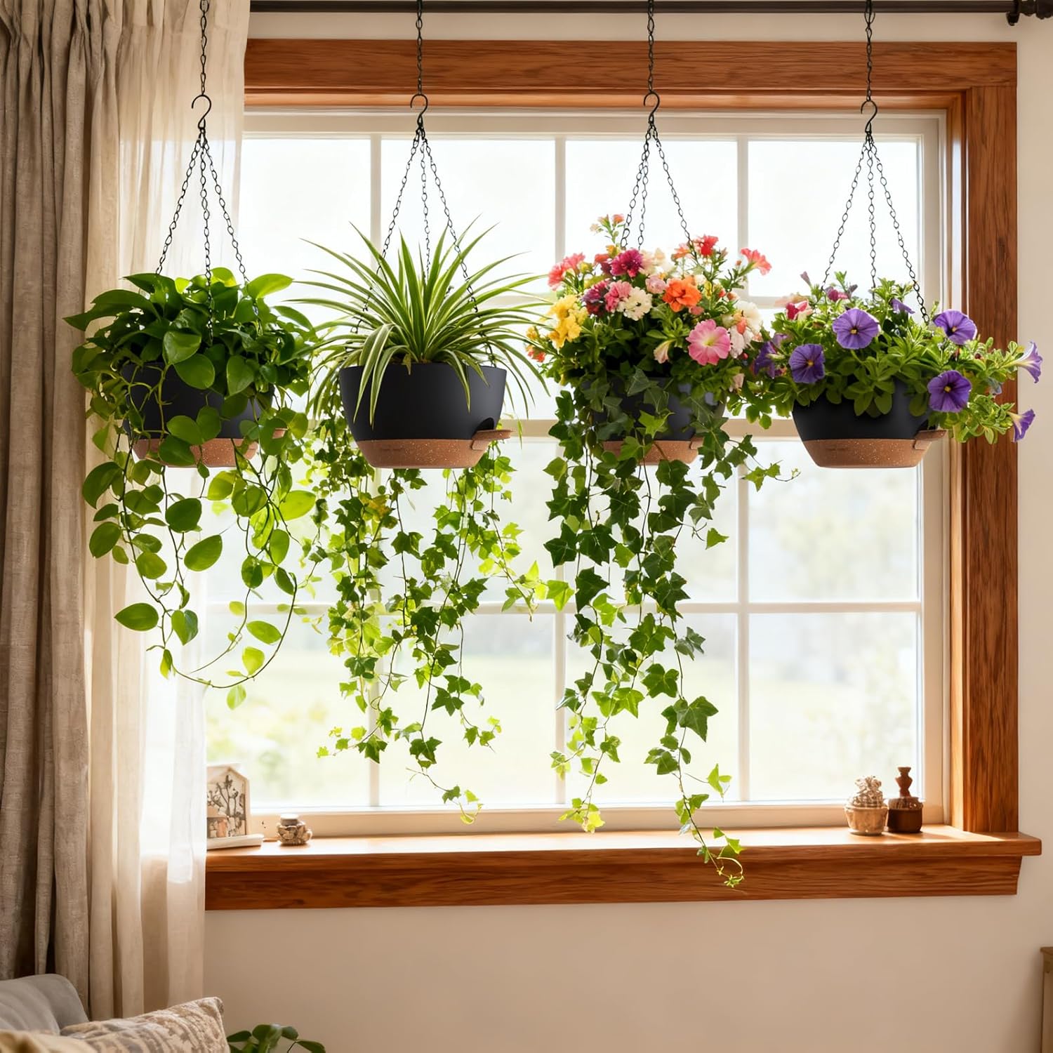 Self Watering Hanging Planters - Spider Plant Hanging review and price
