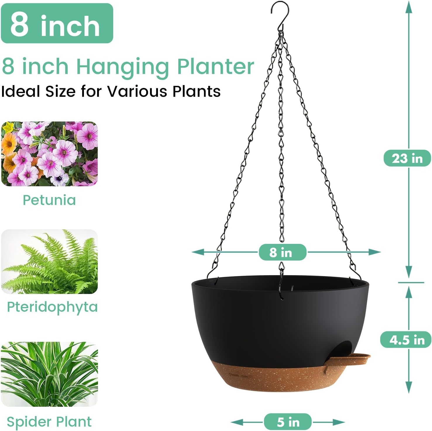 Self Watering Hanging Planters - Spider Plant Hanging review and price