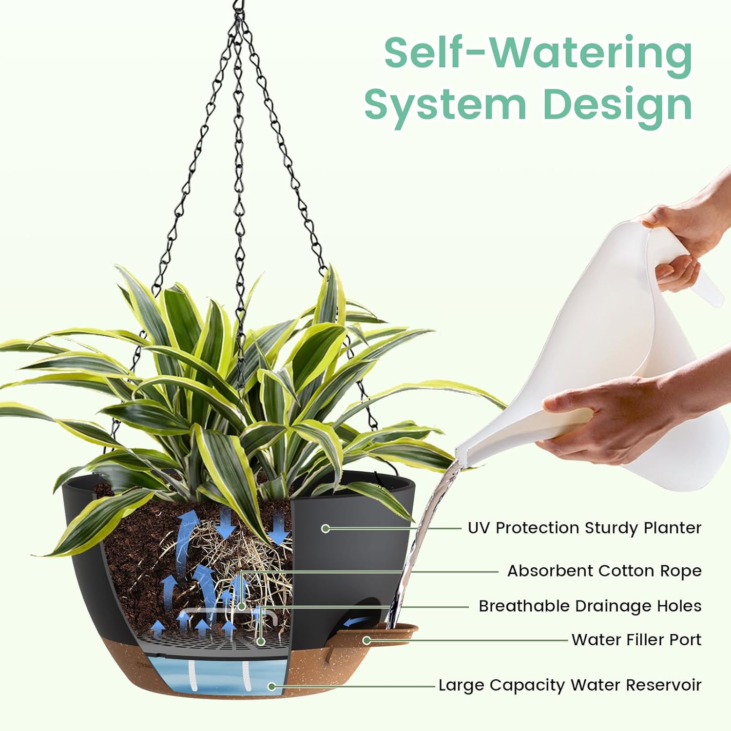 Self Watering Hanging Planters - Spider Plant Hanging review and price