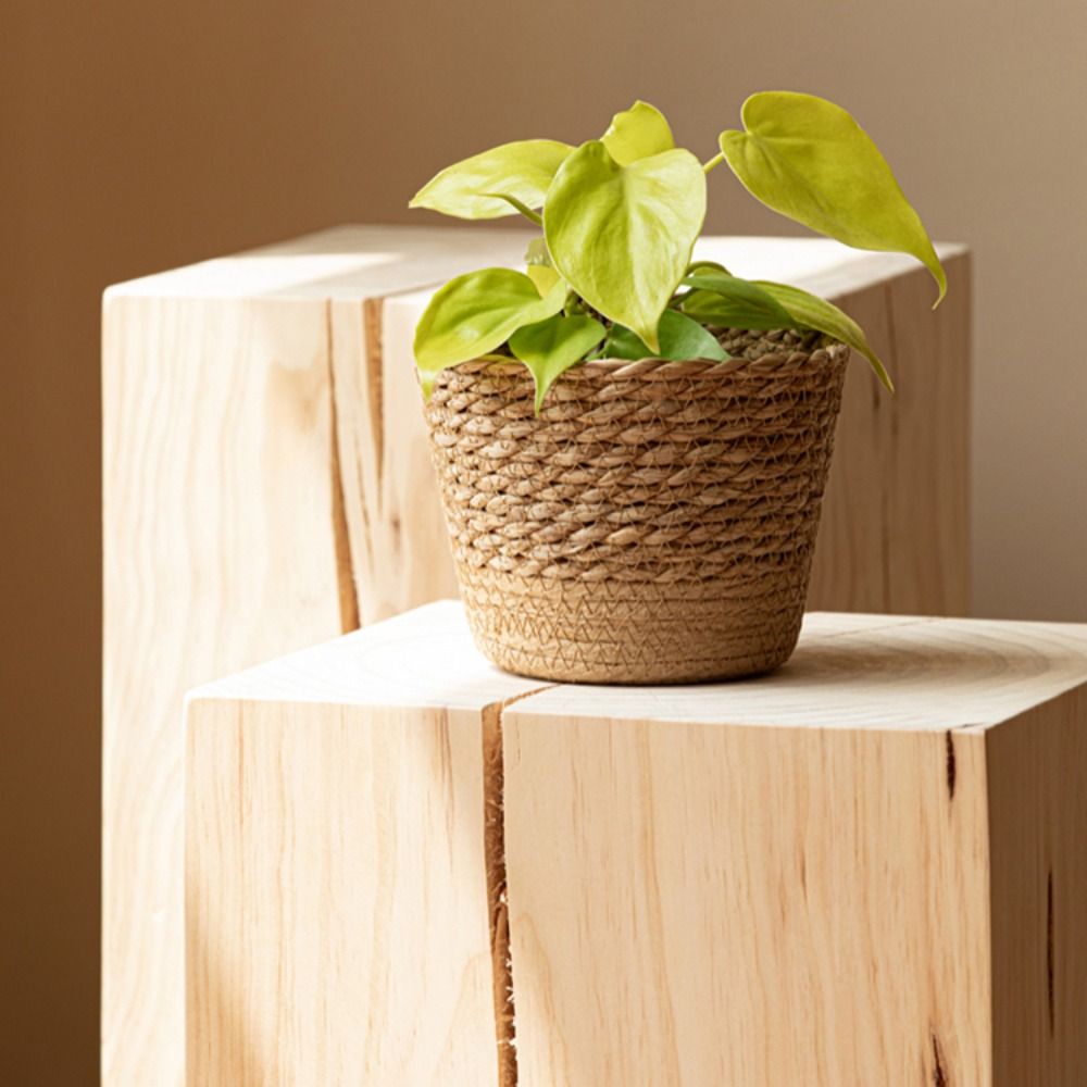 Straw Weaving Flower Plant Pot - Aloe Vera Pot review and price
