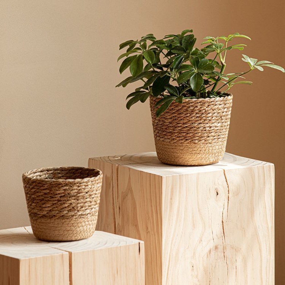 Straw Weaving Flower Plant Pot - Aloe Vera Pot review and price