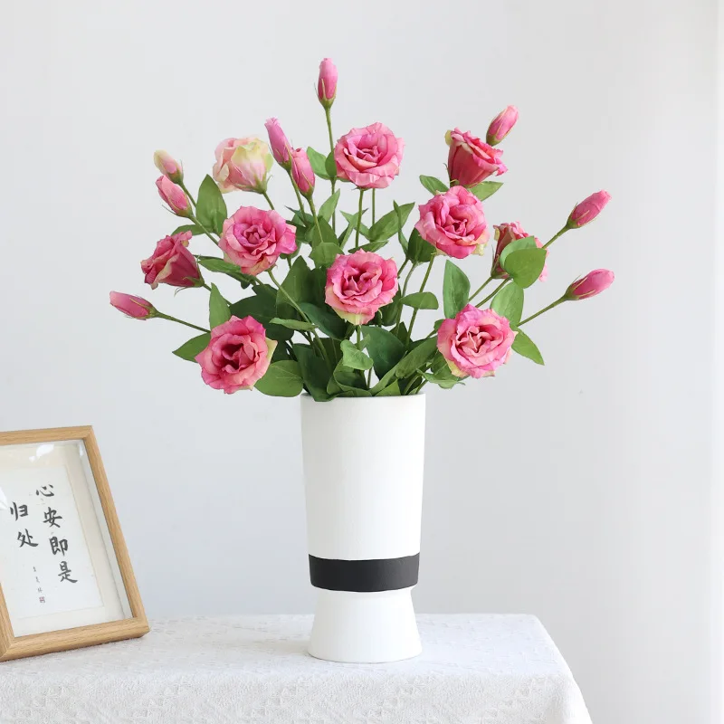 10Pcs/lot Moisturizing 2Head E - Ficus Lyrata Tree review and price
