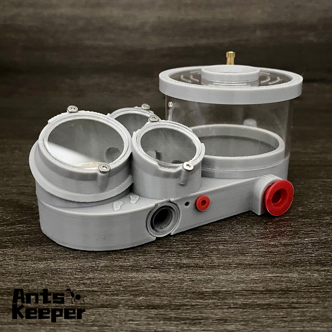 【Three Body】Ant Farm with Wate - Begonia Rex review and price