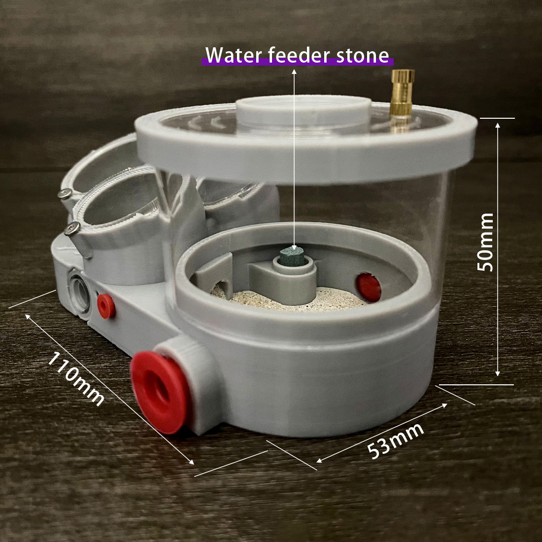 【Three Body】Ant Farm with Wate - Begonia Rex review and price