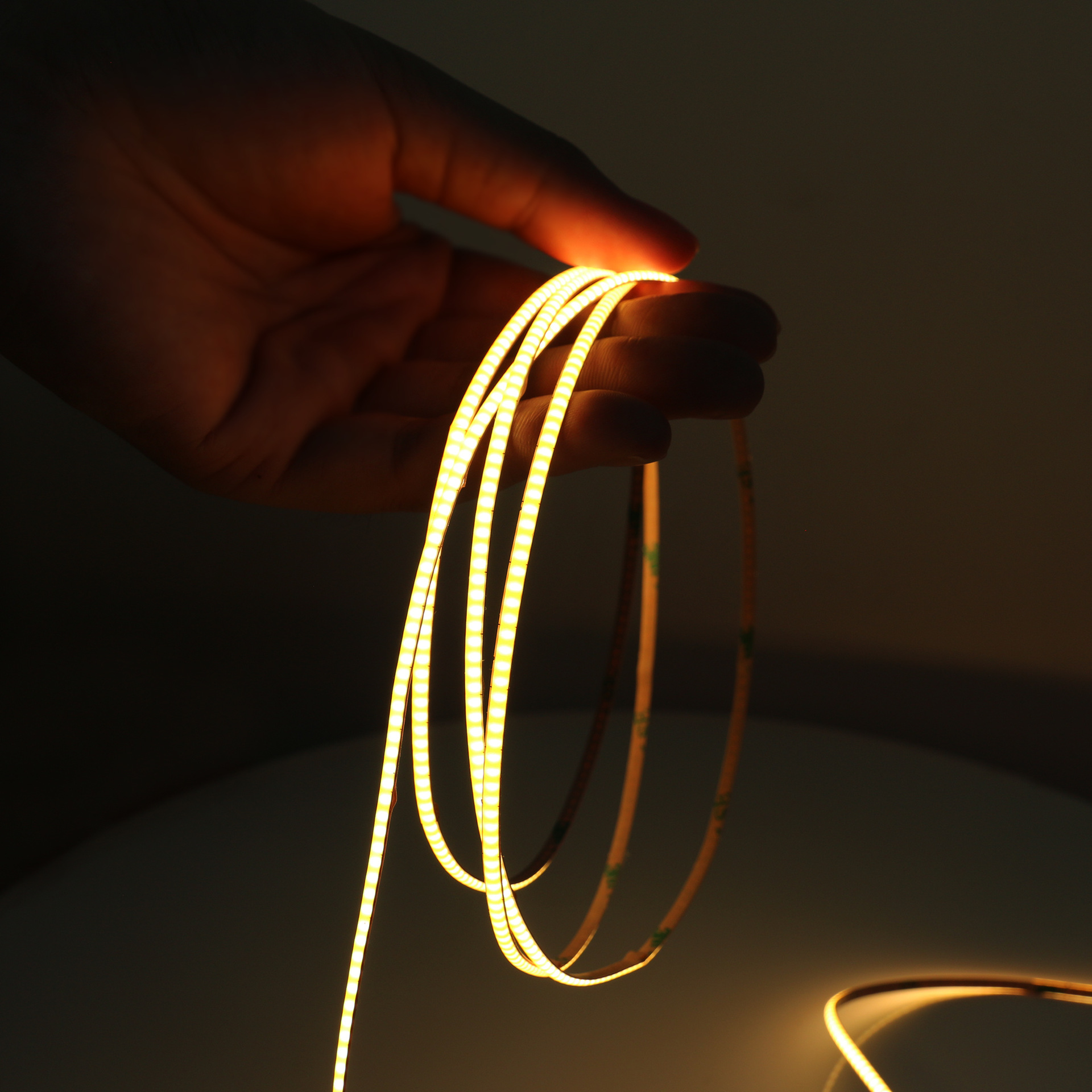 3mm 4mm 5mm Thin Slim COB Led  - Aglaonema Red review and price