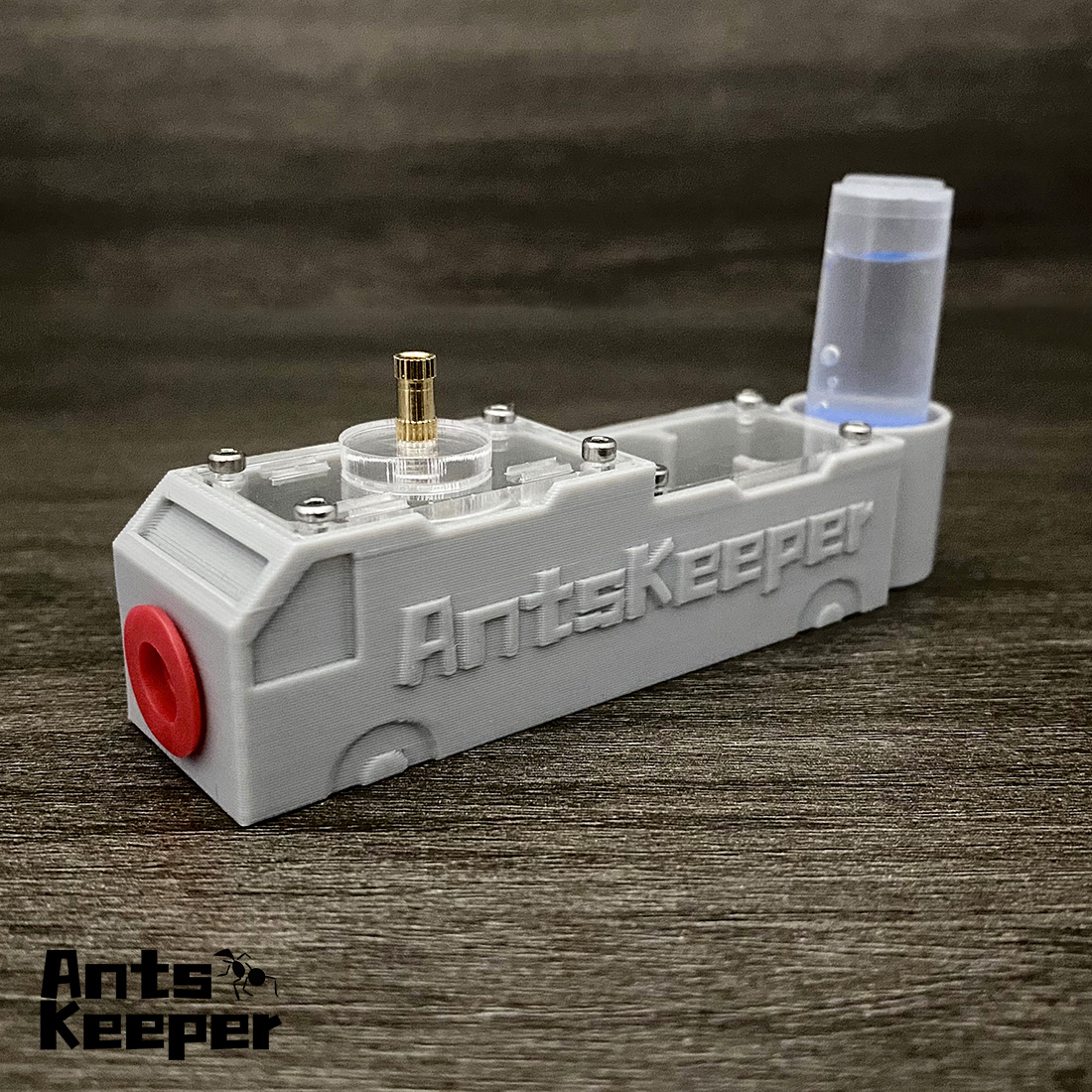 【Truck】Ant Farm for Ants keepe - Begonia Rex review and price