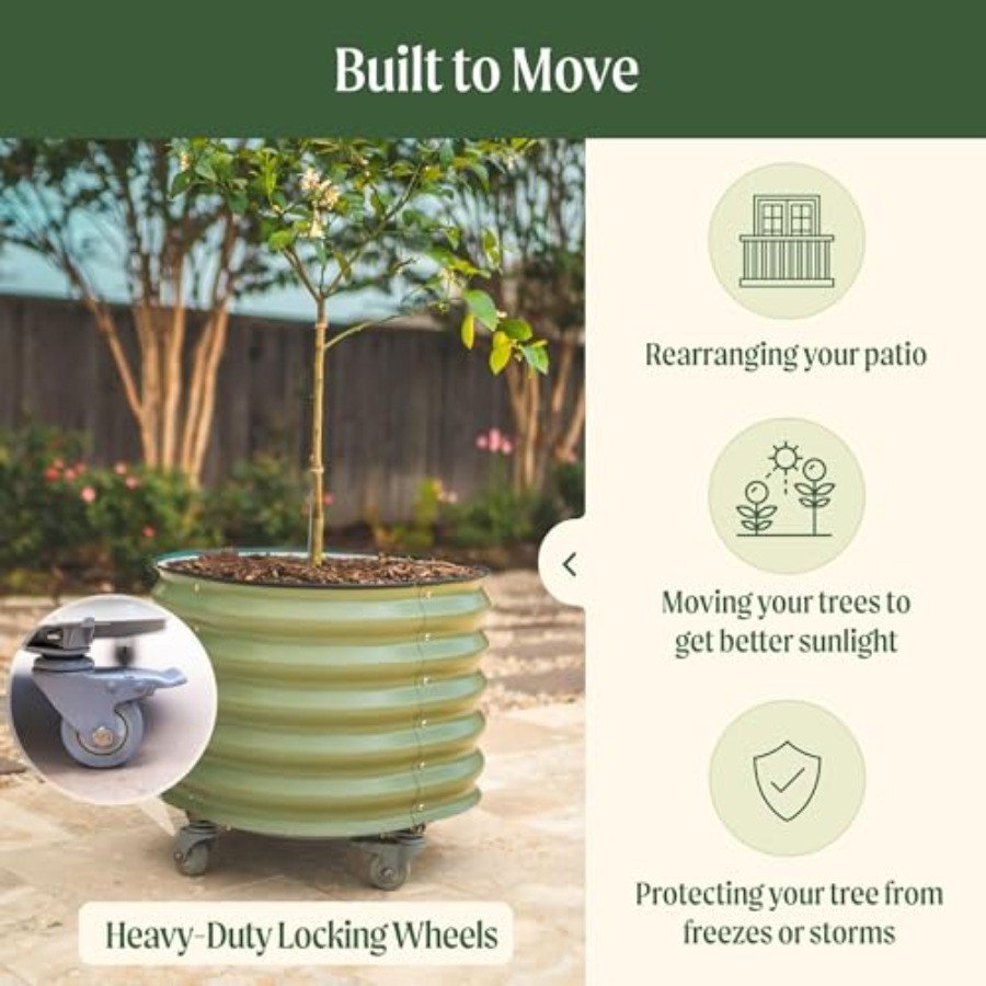 Self-Watering Rolling Metal Ci - Aloe Vera Pot review and price