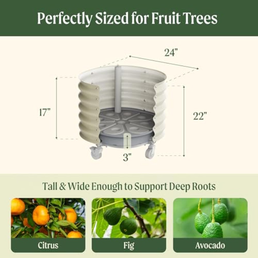 Self-Watering Rolling Metal Ci - Aloe Vera Pot review and price