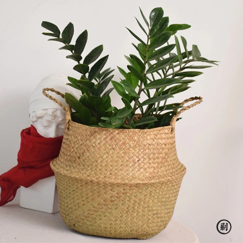 Wicker Basket Toy Organizer Fo - Aloe Vera Pot review and price