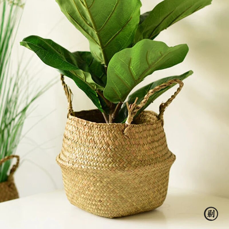 Wicker Basket Toy Organizer Fo - Aloe Vera Pot review and price