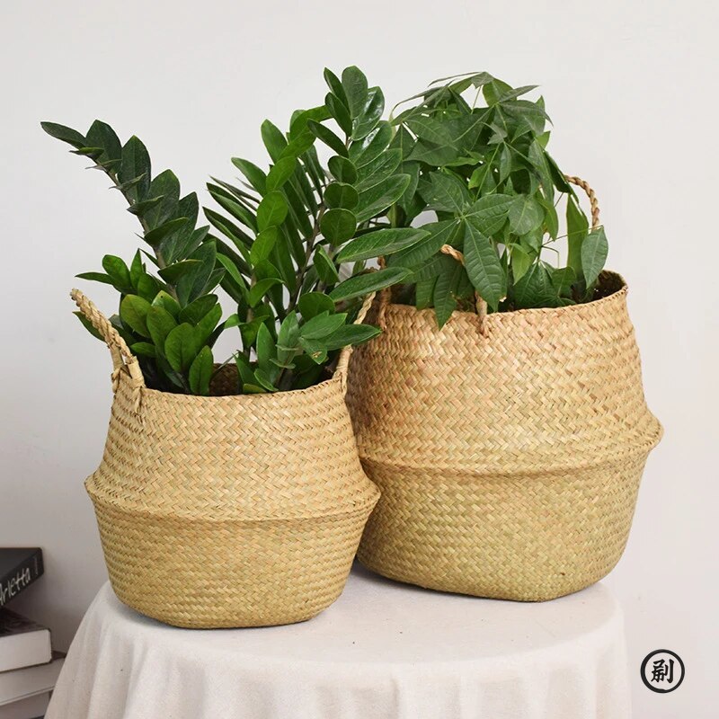 Wicker Basket Toy Organizer Fo - Aloe Vera Pot review and price